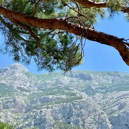 17 Pines Apartamento