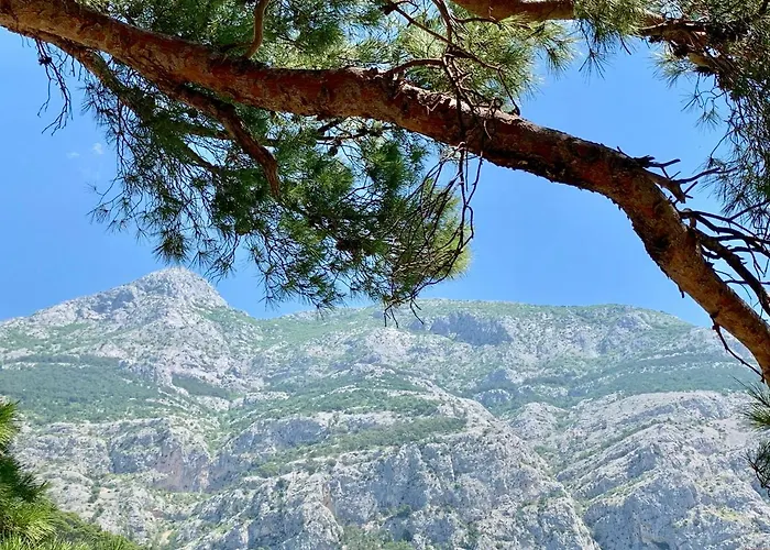 17 Pines Appartamento